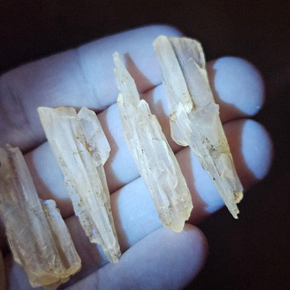 Golden Dogtooth Calcite, Honey Calcite Stone from India, RARE UV Reactive Crystal Specimen