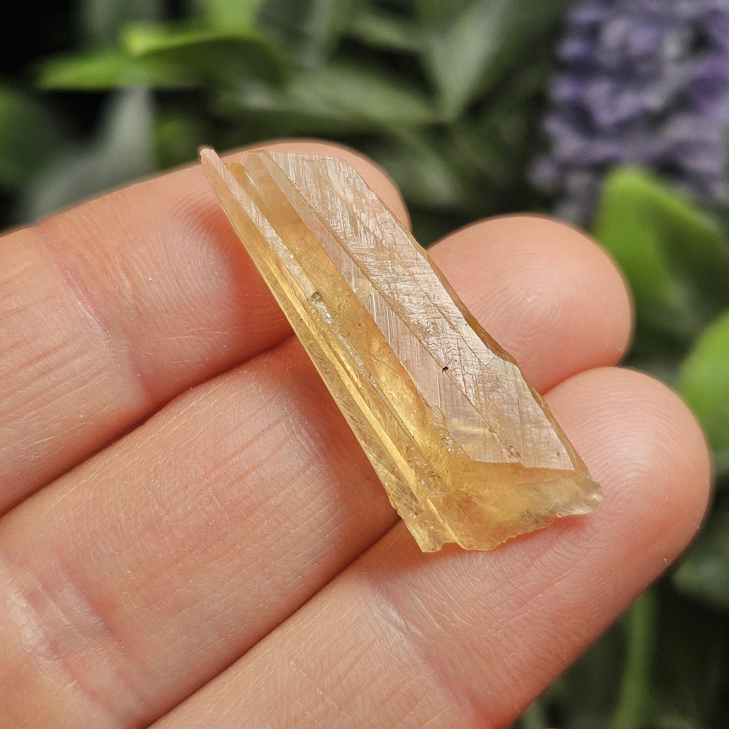 Golden Dogtooth Calcite, Honey Calcite Stone from India, RARE UV Reactive Crystal Specimen