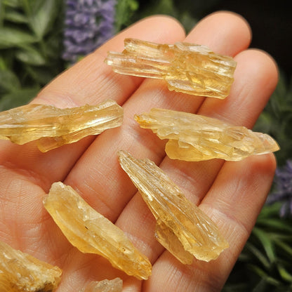 Golden Dogtooth Calcite, Honey Calcite Stone from India, RARE UV Reactive Crystal Specimen