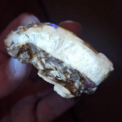 Calcite Clam Shell Fossil, Rucks Pit Honey Calcite in Shell Fossil