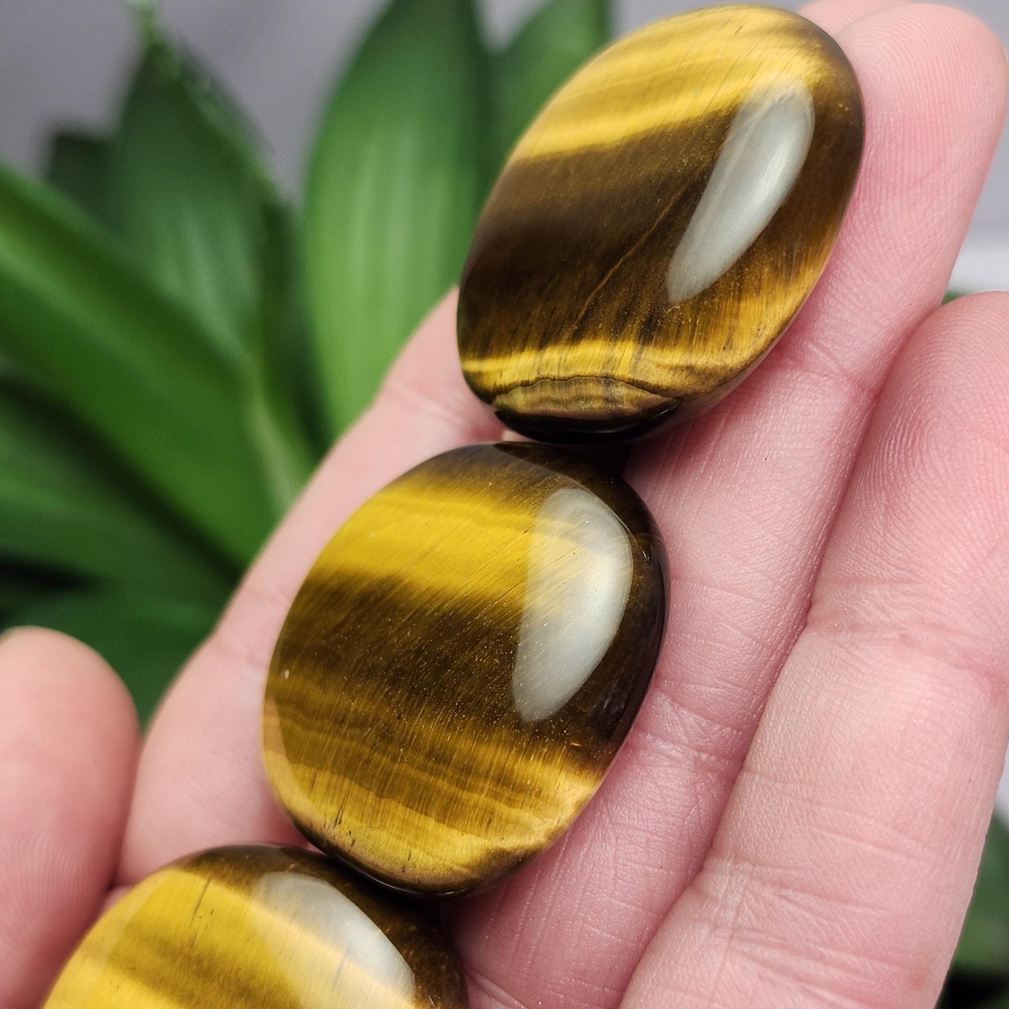Polished Tiger's Eye Crystal, Tigers Eye Palm Stone