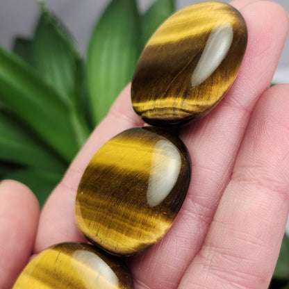 Polished Tiger's Eye Crystal, Tigers Eye Palm Stone
