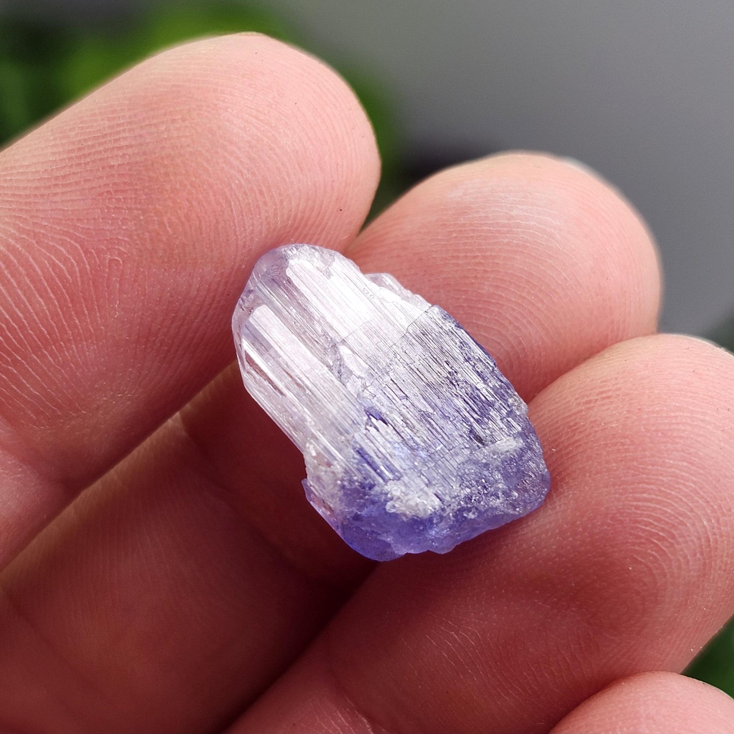Tanzanite Crystal 2.2g, Raw Bicolor Tanzanite, Terminated Gemstone Specimen