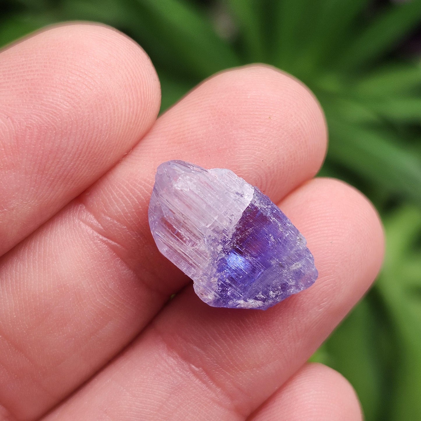 Tanzanite Crystal 2.2g, Raw Bicolor Tanzanite, Terminated Gemstone Specimen