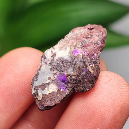 Raw Sugilite Crystal 4.0g, South African Fibrous Sugilite Specimen OLD STOCK