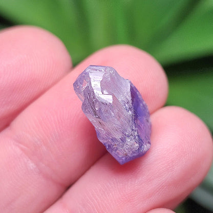 Tanzanite Crystal 2.2g, Raw Bicolor Tanzanite, Terminated Gemstone Specimen