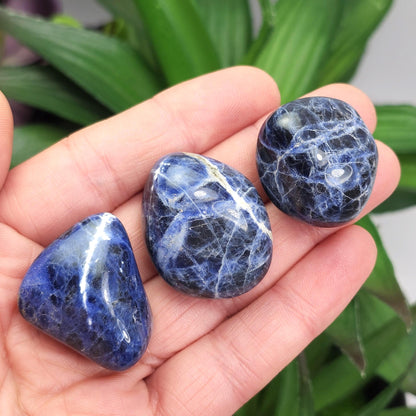 Sodalite Crystal Specimen (.75