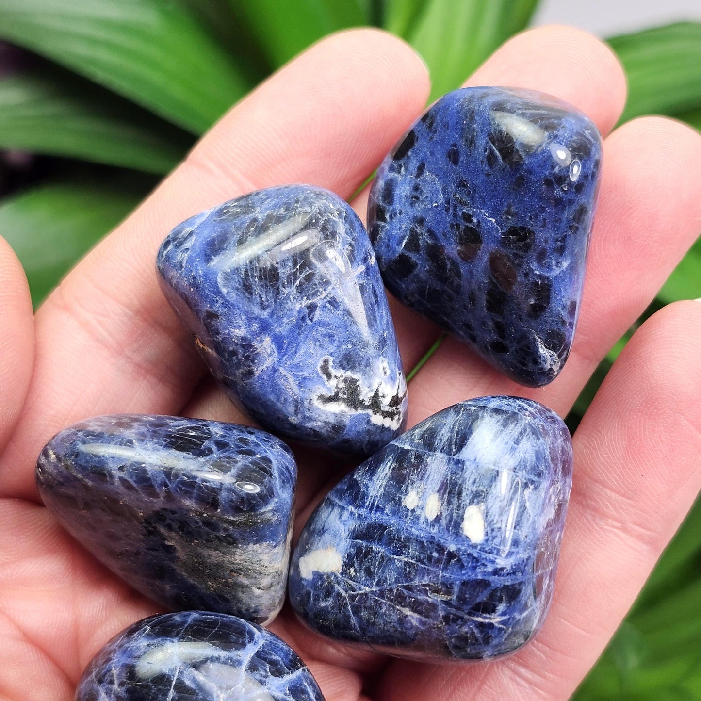 Sodalite Crystal Specimen (.75