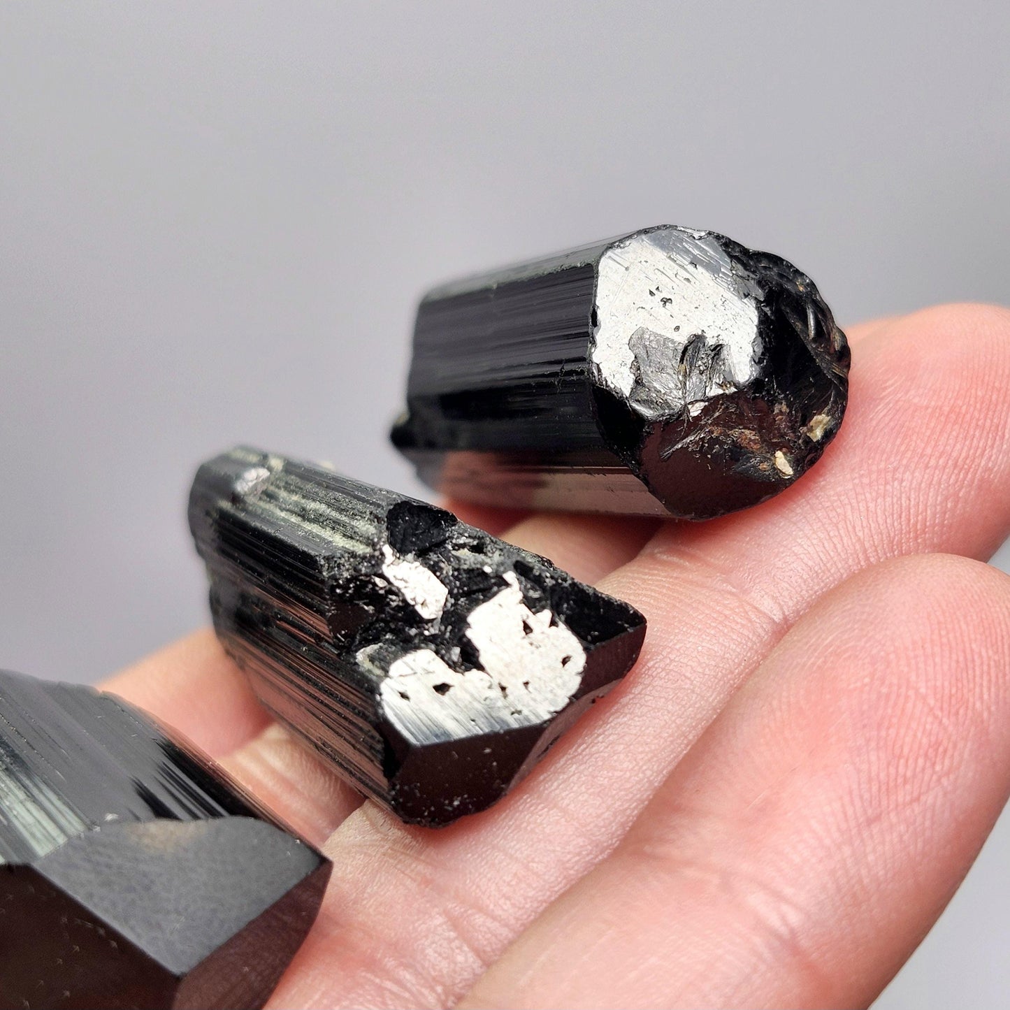 Terminated Black Tourmaline Crystal (1.25"+), Raw Tourmaline Stone Specimen