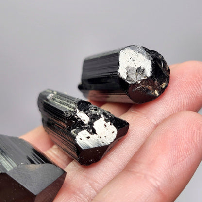 Terminated Black Tourmaline Crystal (1.25"+), Raw Tourmaline Stone Specimen