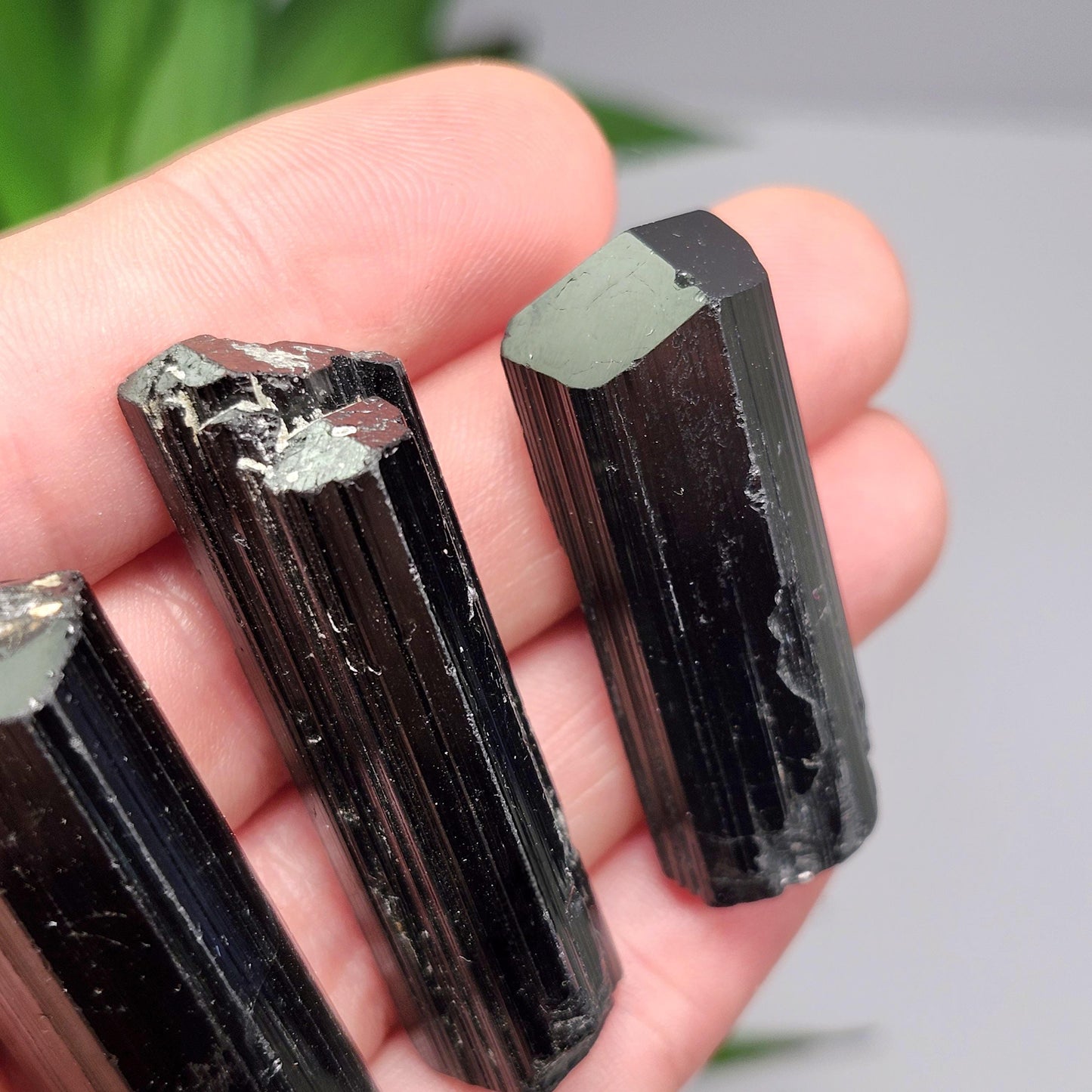 Terminated Black Tourmaline Crystal (1.25"+), Raw Tourmaline Stone Specimen