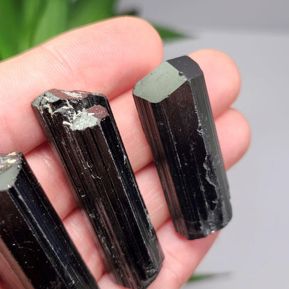 Terminated Black Tourmaline Crystal (1.25"+), Raw Tourmaline Stone Specimen