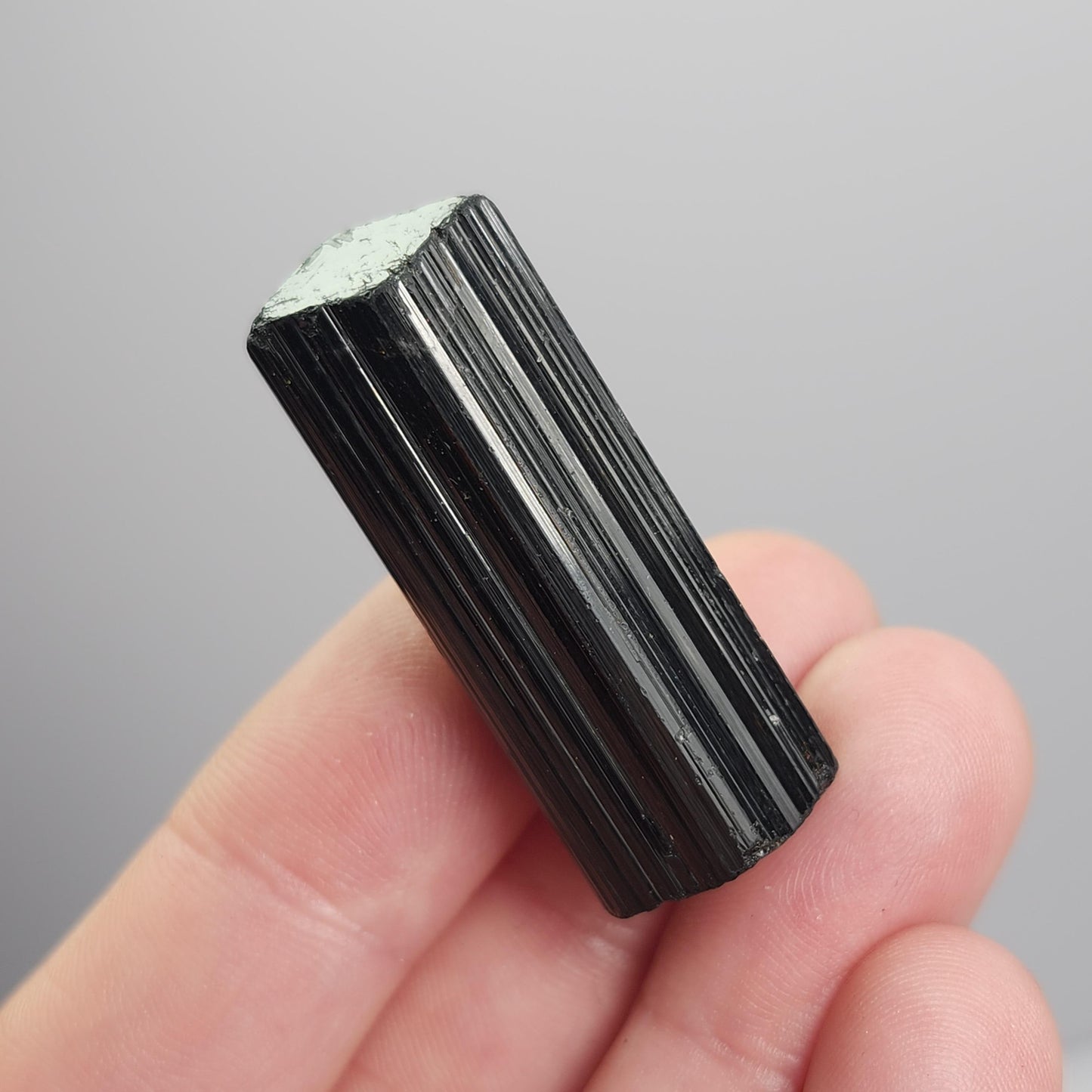Terminated Black Tourmaline Crystal (1.25"+), Raw Tourmaline Stone Specimen