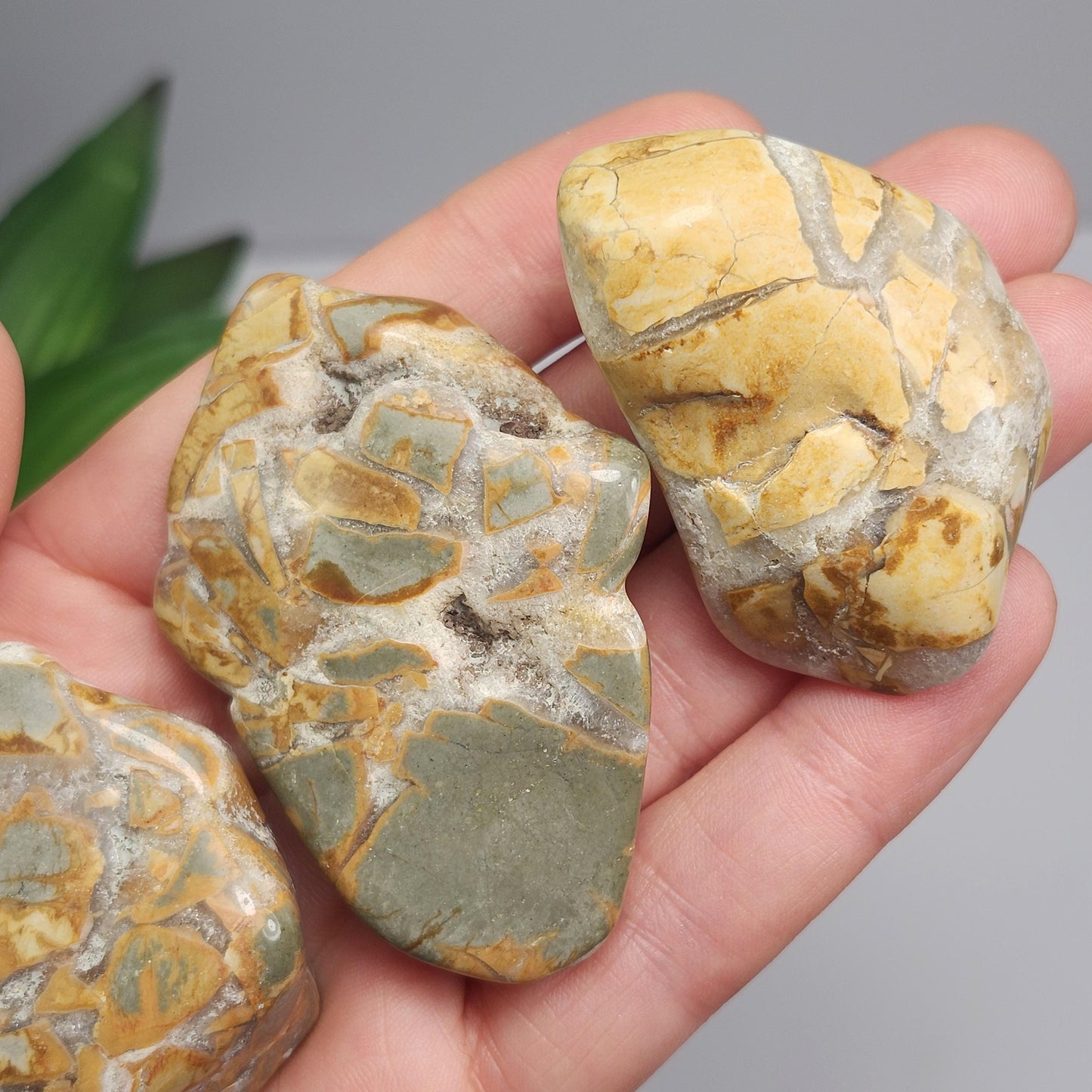 Ibis Jasper Crystal from Madagascar (30