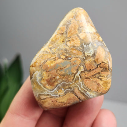 Ibis Jasper Crystal from Madagascar (30