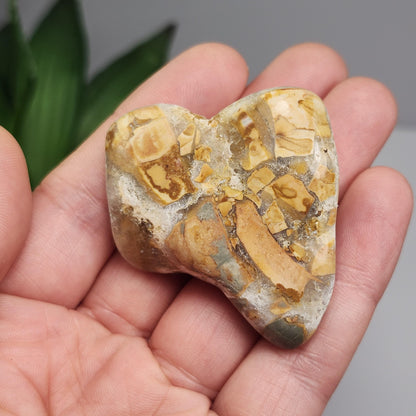 Ibis Jasper Crystal from Madagascar (30