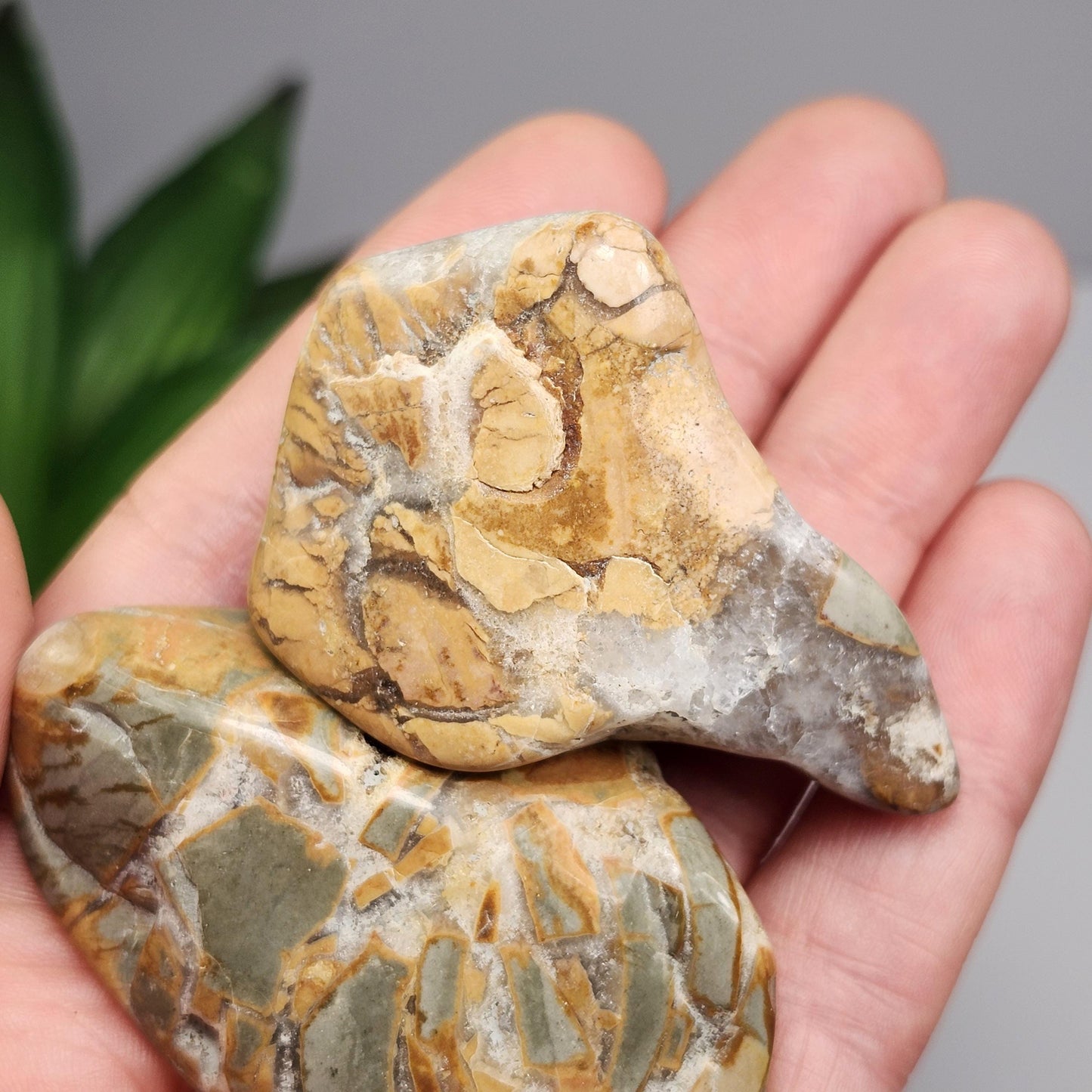 Ibis Jasper Crystal from Madagascar (30