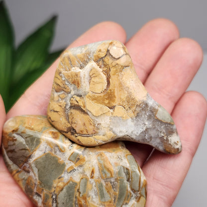 Ibis Jasper Crystal from Madagascar (30