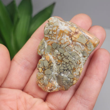 Ibis Jasper Crystal from Madagascar (30