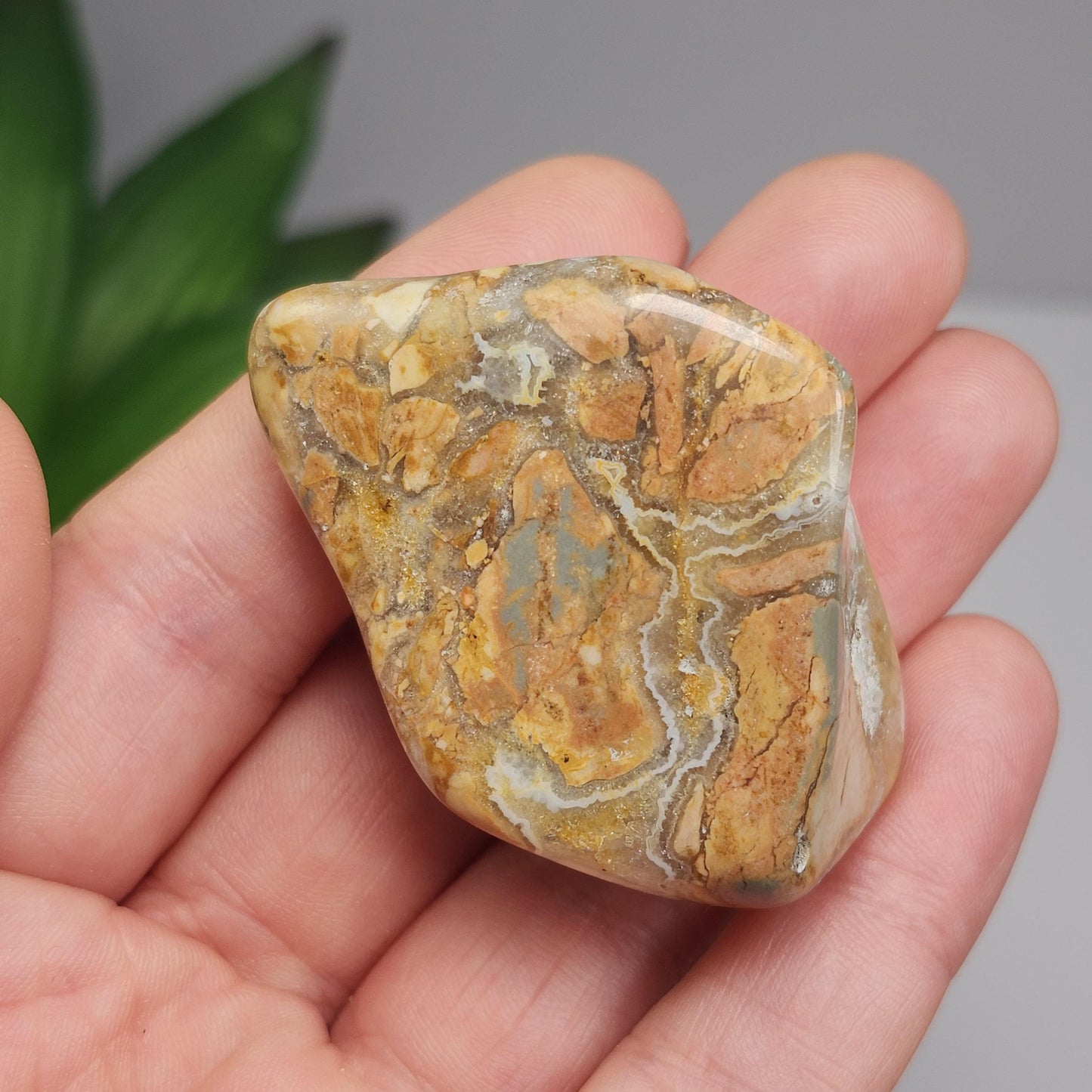 Ibis Jasper Crystal from Madagascar (30