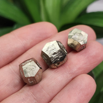 Pyrite Crystal from Spain, Raw Fool's Gold Specimen