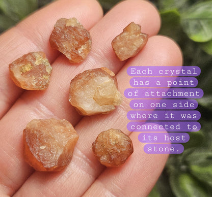 Spessartine Garnet Crystal, Raw Naturally Terminated Orange Garnet Specimen