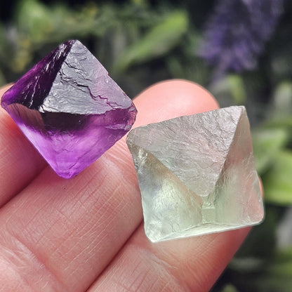 Purple & Green Fluorite Pair of Octahedrons, Raw Fluorite Crystals, China Mined