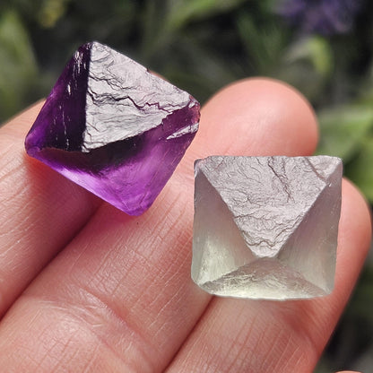 Purple & Green Fluorite Pair of Octahedrons, Raw Fluorite Crystals, China Mined
