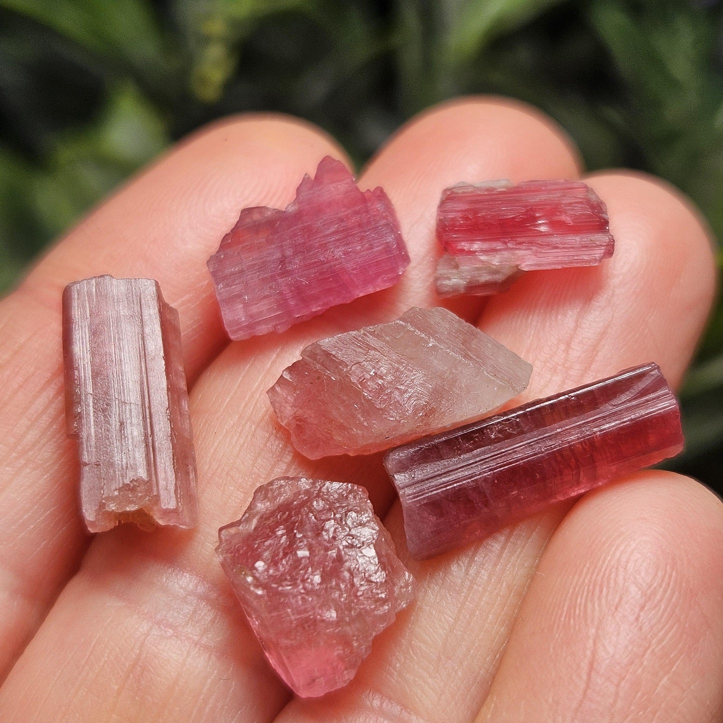 Natural Pink Tourmaline Crystal with Striations, Raw Raspberry Pink Tourmaline Specimen from Brazil