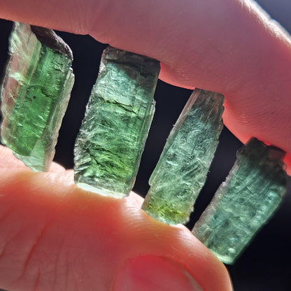 Chrome Green Tourmaline Crystal, Raw Natural Tourmaline from Brazil, Gem Quality Specimen