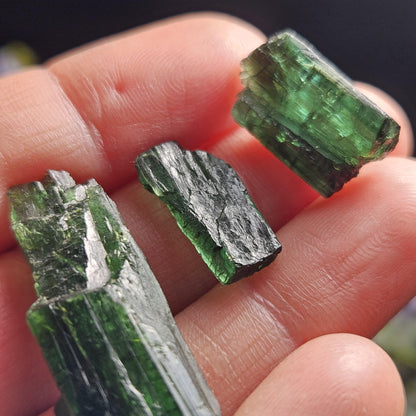 Chrome Green Tourmaline Crystal, Raw Natural Tourmaline from Brazil, Gem Quality Specimen