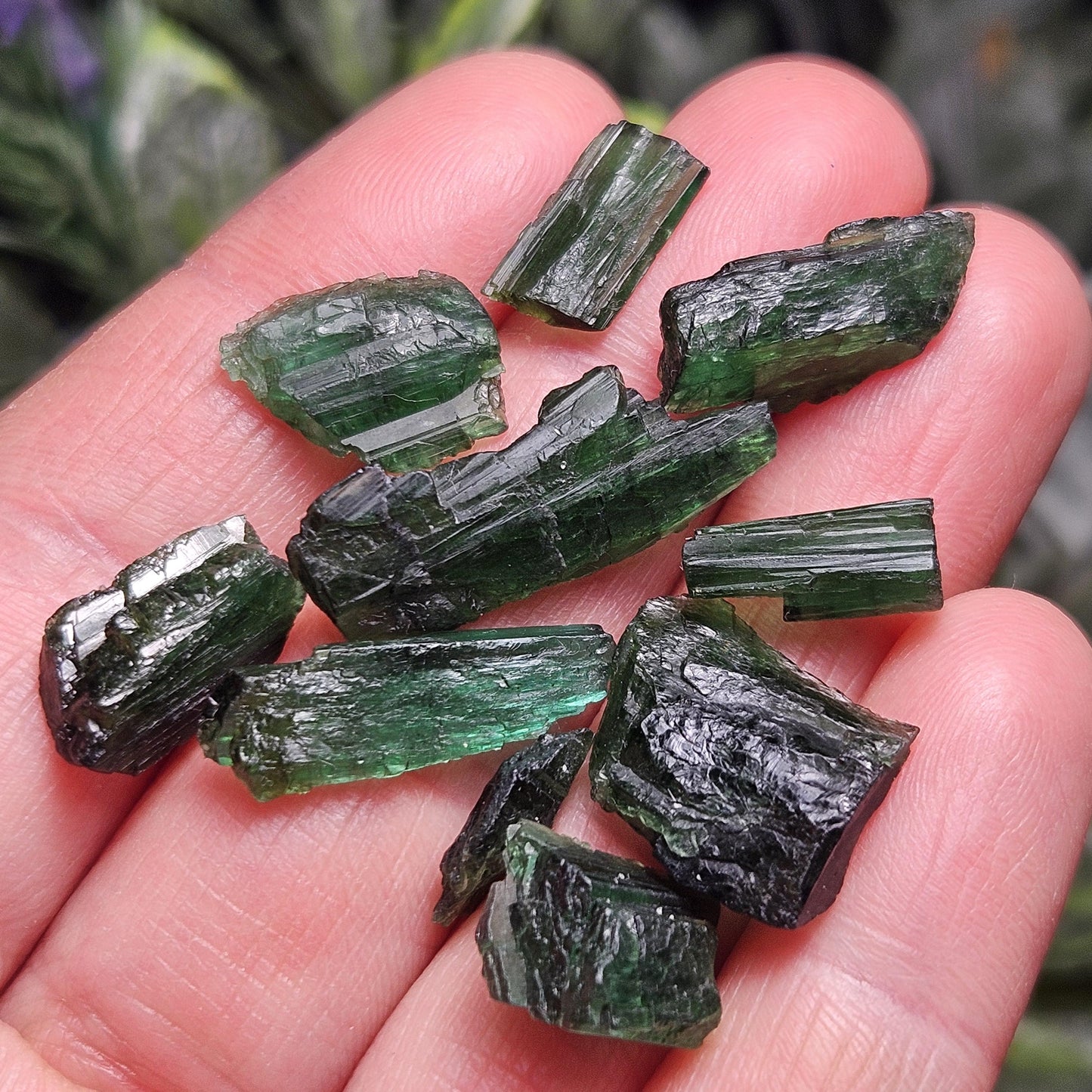 Chrome Green Tourmaline Crystal, Raw Natural Tourmaline from Brazil, Gem Quality Specimen