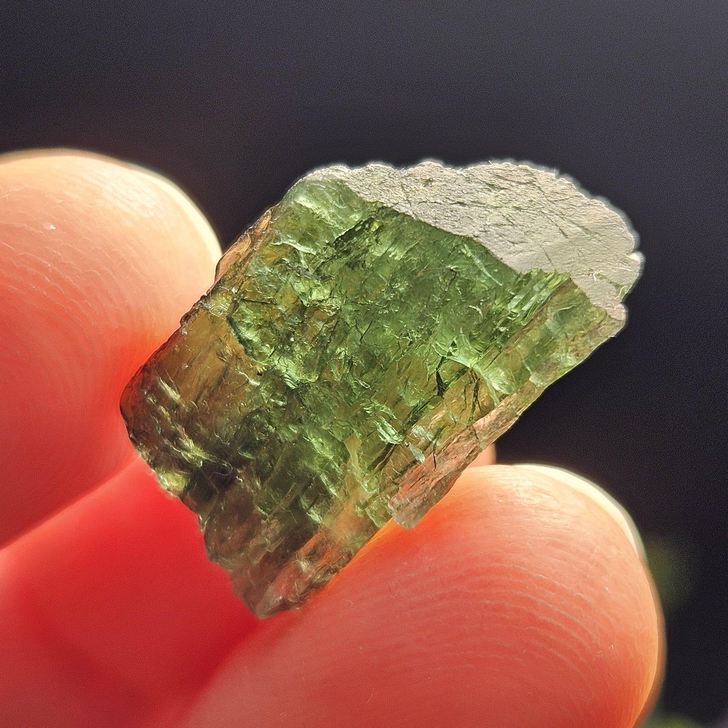 Chrome Green Tourmaline Crystal, Raw Natural Tourmaline from Brazil, Gem Quality Specimen