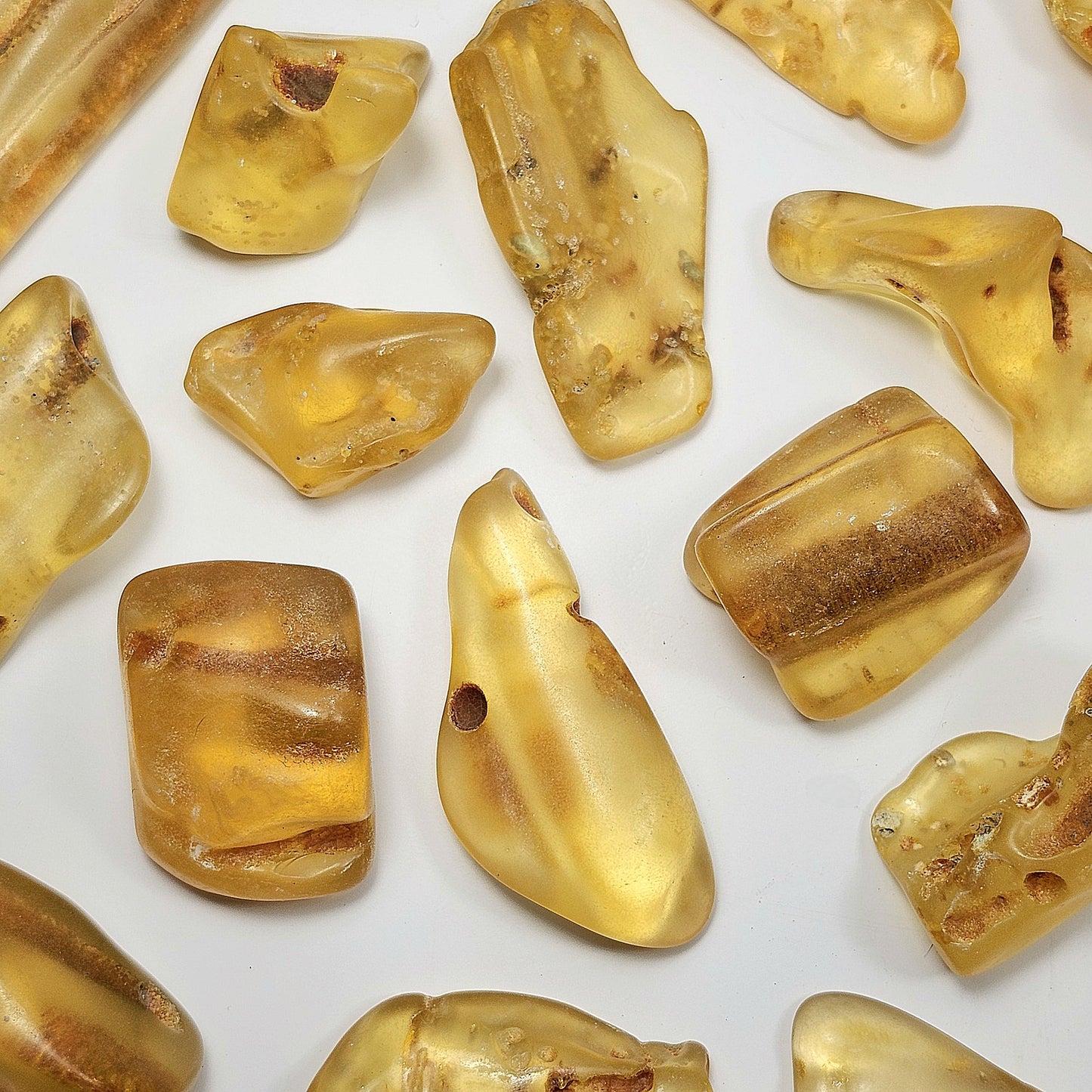 Polished Amber Specimen, Colombian Young Amber, Copal Fossil