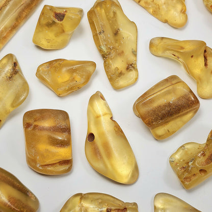 Polished Amber Specimen, Colombian Young Amber, Copal Fossil
