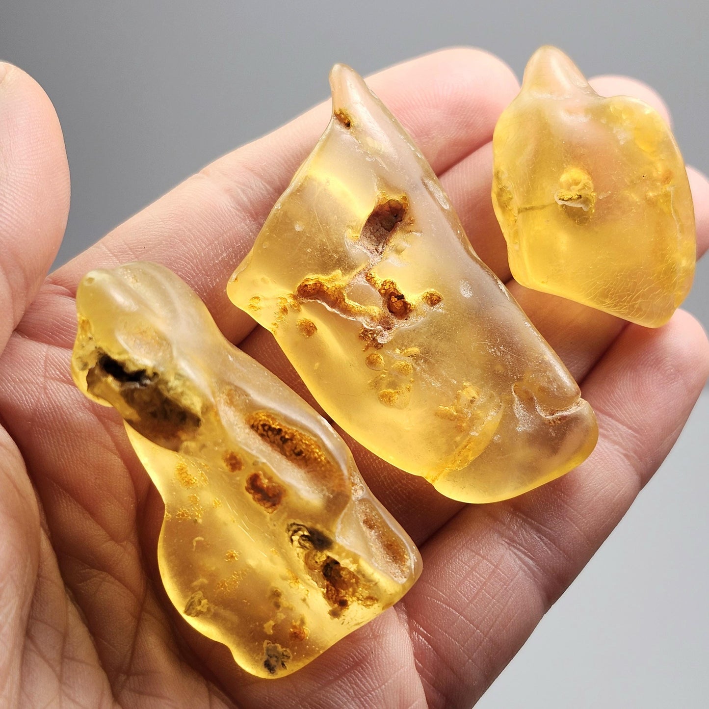 Polished Amber Specimen, Colombian Young Amber, Copal Fossil