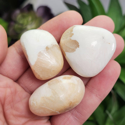 Scolecite with Pink Stilbite Crystal from India, Scolecite Stilbite Polished Tumbled Stone