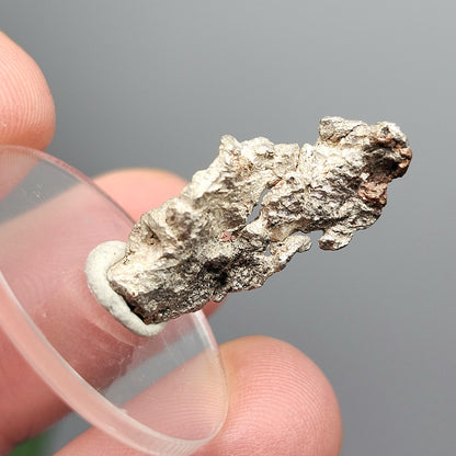 Native Silver Nugget 2.7g with Natural HOLE, Michigan "Halfbreed" Silver Ore