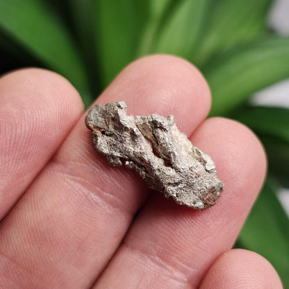 Native Silver Nugget 2.7g with Natural HOLE, Michigan "Halfbreed" Silver Ore
