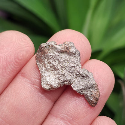 Native Silver Nugget 4g with Natural HOLE, Michigan "Halfbreed" Silver Ore