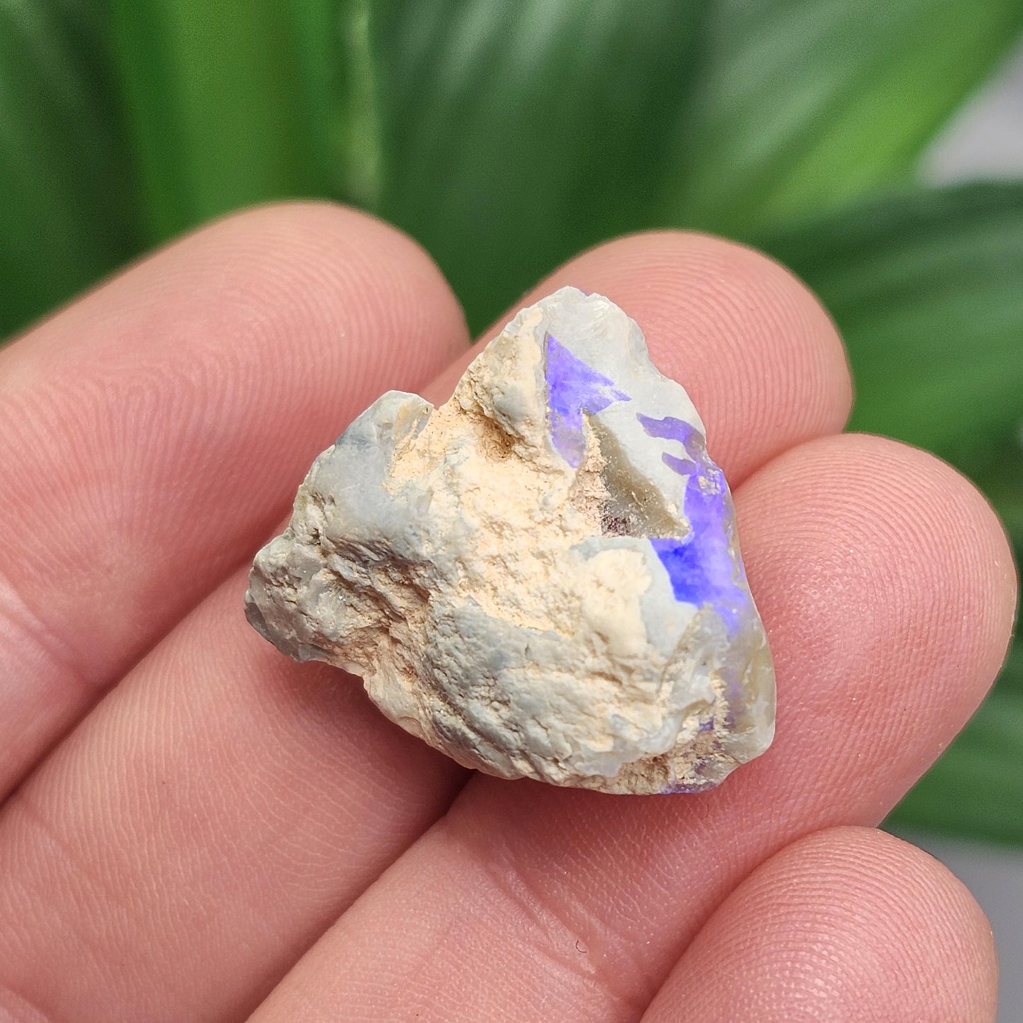 Australian Blue Opal from Lightning Ridge 2.83g, Opal Crystal Specimen from Australia
