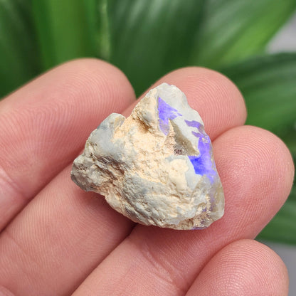 Australian Blue Opal from Lightning Ridge 2.83g, Opal Crystal Specimen from Australia