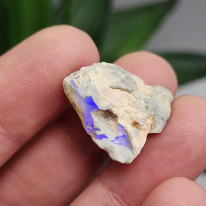 Australian Blue Opal from Lightning Ridge 2.83g, Opal Crystal Specimen from Australia
