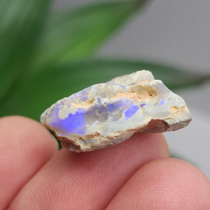 Australian Blue Opal from Lightning Ridge 2.83g, Opal Crystal Specimen from Australia