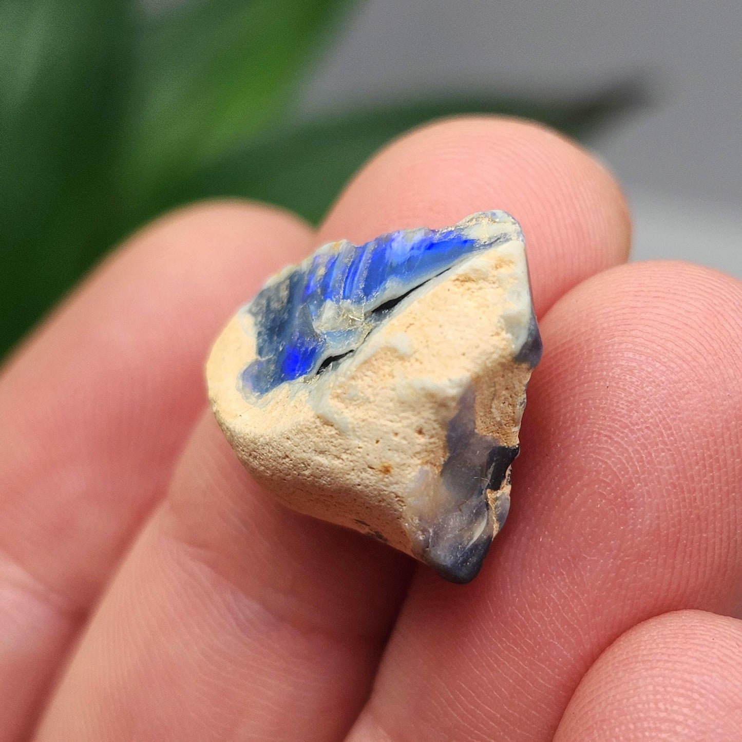 Lightning Ridge Black Opal 2.0g, Raw Australian Opal Stone Specimen