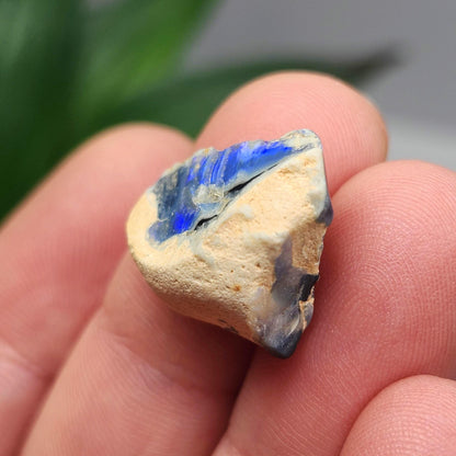 Lightning Ridge Black Opal 2.0g, Raw Australian Opal Stone Specimen