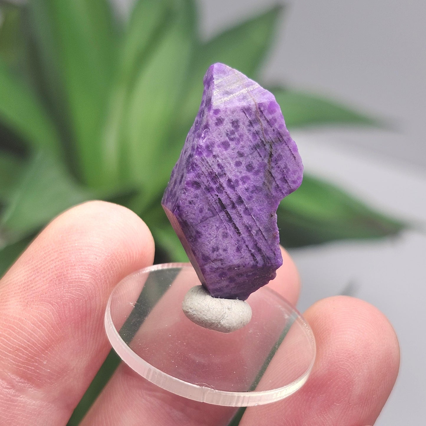 Purple Sugilite Crystal 2.5g, South African Sugilite OLD STOCK