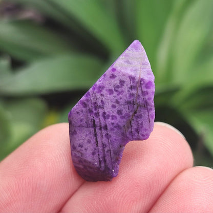 Purple Sugilite Crystal 2.5g, South African Sugilite OLD STOCK