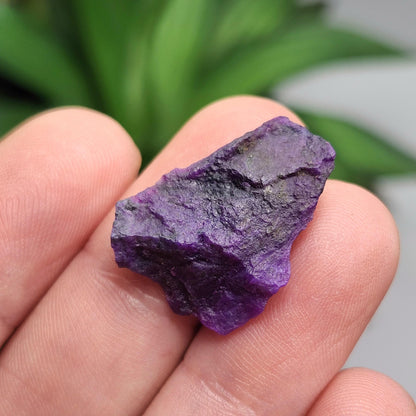 Raw Gel Sugilite Crystal 2.5g, South African Sugilite OLD STOCK