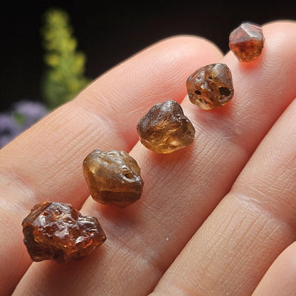 Champagne Zircon Crystal from Nigeria, Alluvial River